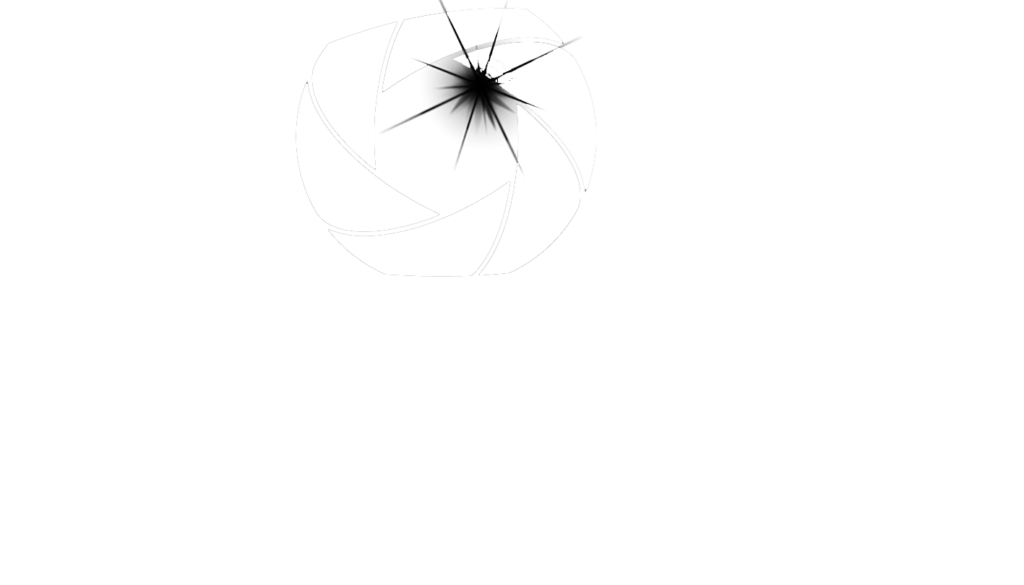 Logo Vierkant Playfair Display transparant WitZwart